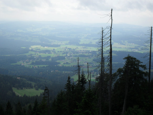 19.8.2014